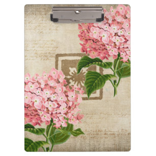 Pink Hydrangea Clusters II Clipboard