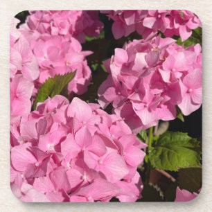 Pink Hydrangea Coaster