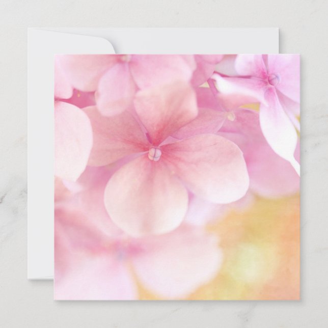 Pink Hydrangea Dream ... Square Invitation - Baby (Front)