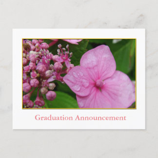 Pink hydrangea flower girl's graduation announcement postcard