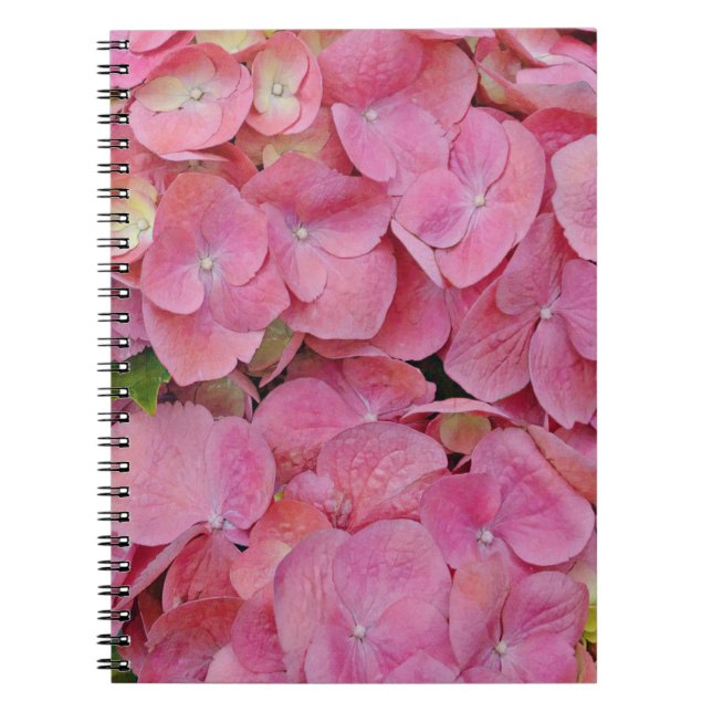 Pink Hydrangea Flowers Journal Notebook (Front)