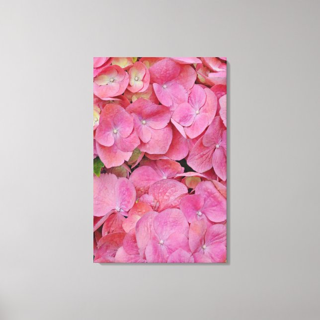 Pink Hydrangea Flowers Photographic Art Canvas Print (Front)