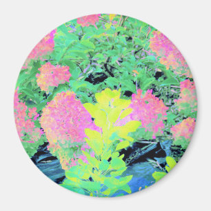 Pink Hydrangea Garden with Yellow Foliage Magnet