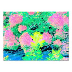 Pink Hydrangea Garden with Yellow Foliage Photo Print