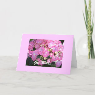 Pink Hydrangea Get Well Card
