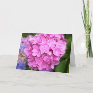 Pink Hydrangea Greeting Card