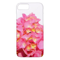 Pink Hydrangea pink floral pink flower