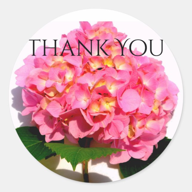 Pink Hydrangea pink floral pink flower Classic Round Sticker (Front)