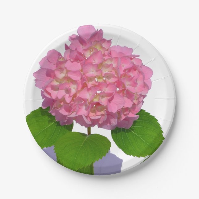 Pink hydrangea pink floral pink flower paper plate (Front)