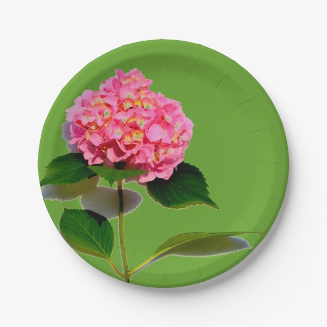 Pink hydrangea pink floral pink flower paper plate (Front)