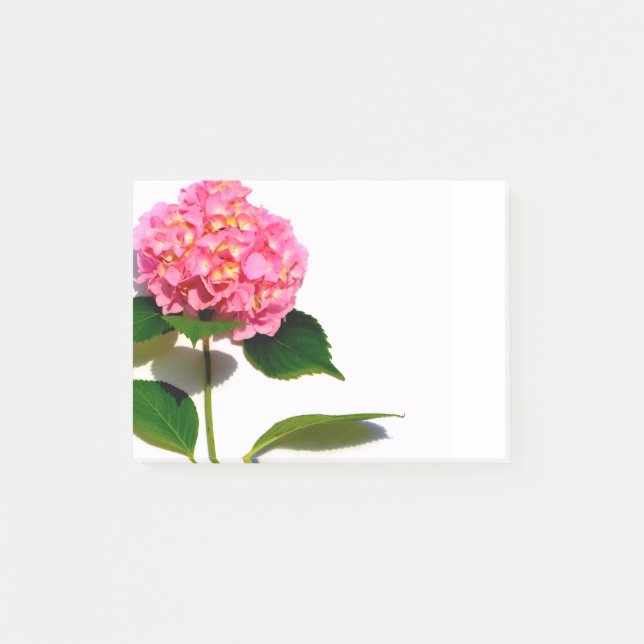 Pink Hydrangea pink floral pink flower Post-it Notes (Front)