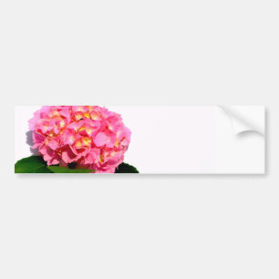 Pink hydrangea pink flower pink floral bumper sticker
