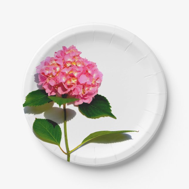 Pink Hydrangea pink flower pink floral Paper Plate (Front)