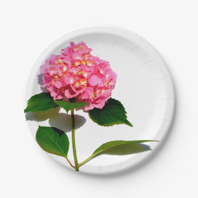 Pink Hydrangea pink flowers pink roses Paper Plate (Front)