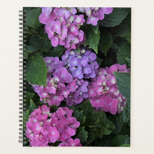 Pink Hydrangea Planner (Front)