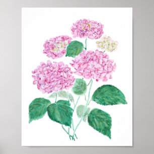 pink hydrangea poster