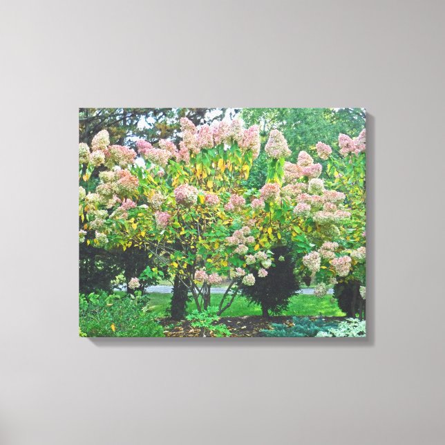 PINK HYDRANGEA TREES Stretched Canvas Print (Front)