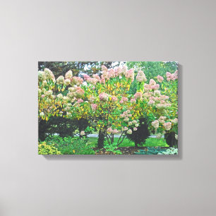 PINK HYDRANGEA TREES Stretched Canvas Print