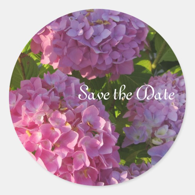 Pink Hydrangeas Classic Round Sticker (Front)