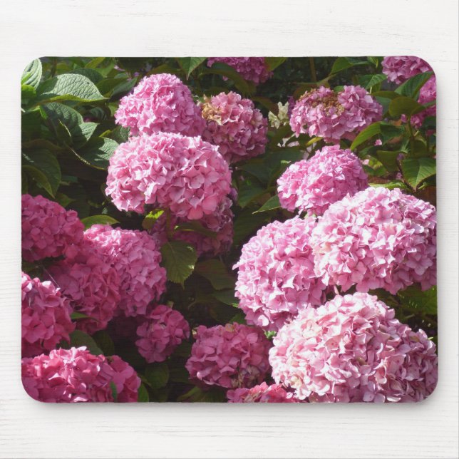 Pink Hydrangeas Mouse Mat (Front)