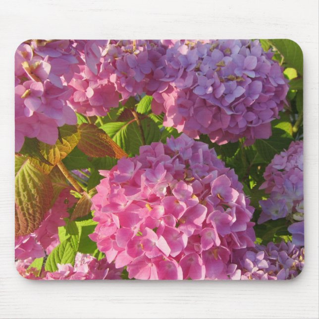 Pink Hydrangeas Mouse Mat (Front)