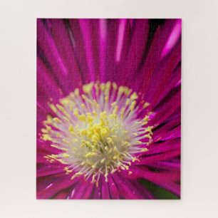 Pink Ice plant flower Jigsaw Puzzle