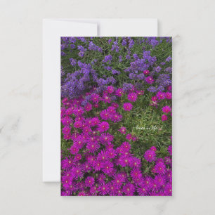 Pink Ice Plant & Lavender Card