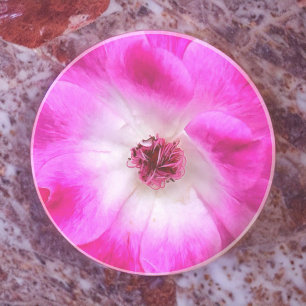 Pink Iceberg Roses Coaster