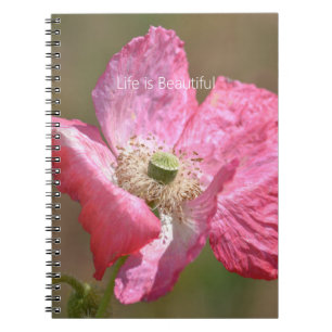 Pink Iceland Poppy Flower (my photography) Notebook