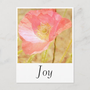 Pink Iceland Poppy Joy Postcard