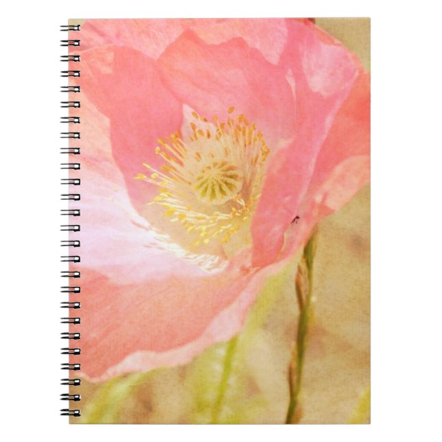 Pink Iceland Poppy Notebook (Front)