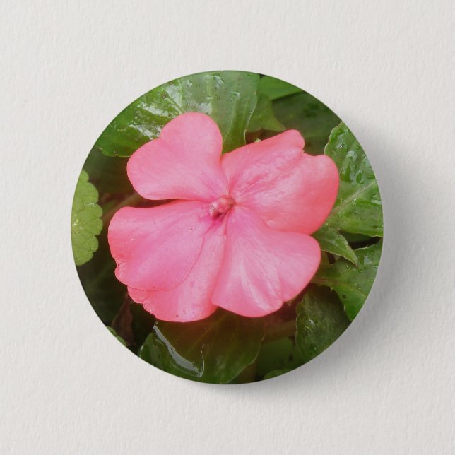 Pink Impatiens Flower Button (Front)