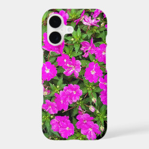 Pink Impatiens Flower Garden