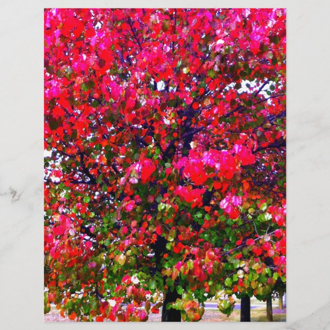 Pink impressionistic Autumn Leaves trees (Front)