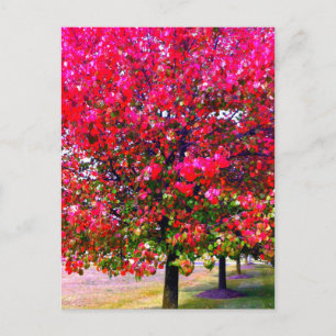 Pink impressionistic Autumn Leaves trees Postcard