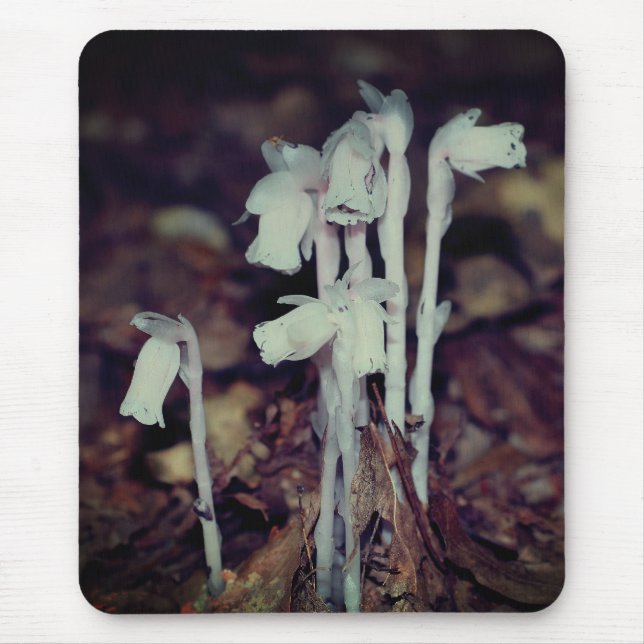 Pink Indian Pipe Wildflower Mushrooms Nature  Mouse Mat (Front)