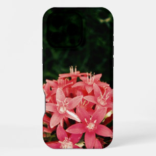 Pink iPhone 16 Pro Max Case