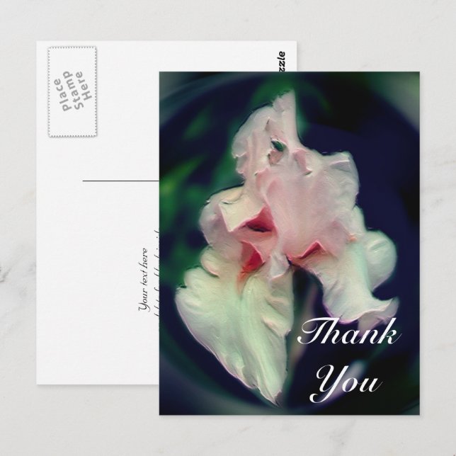 Pink Iris Abstract Floral Thank You Postcard (Front/Back)