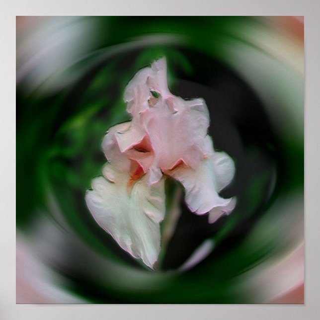 Pink Iris Flower Abstract Art Poster (Front)