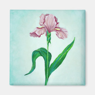 Pink Iris magnet