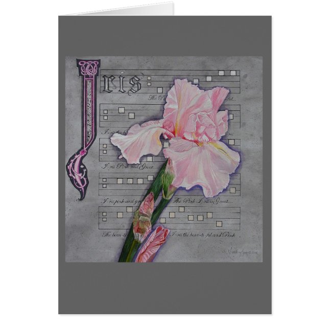 Pink Iris Manuscript (Front)