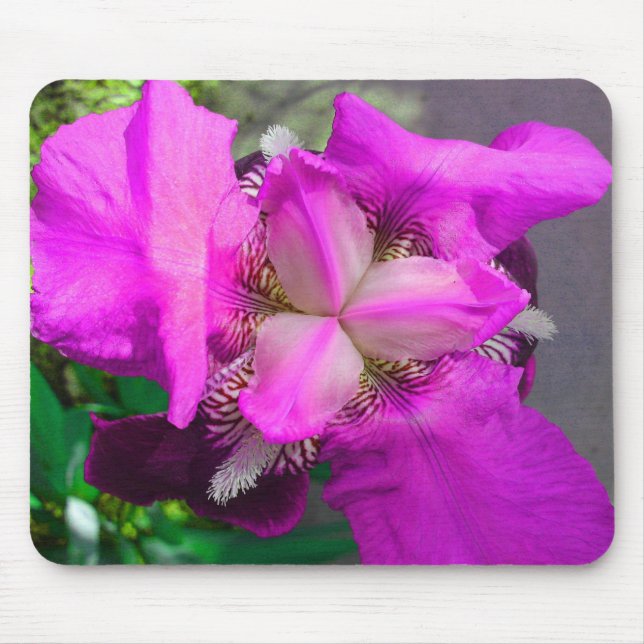 Pink Iris Mousepad (Front)