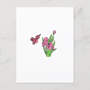 Pink Iris Postcard