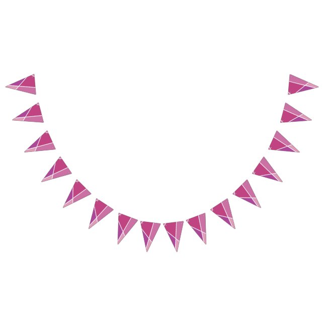 Pink JanaiCreates Color Collection Party Banner (All)