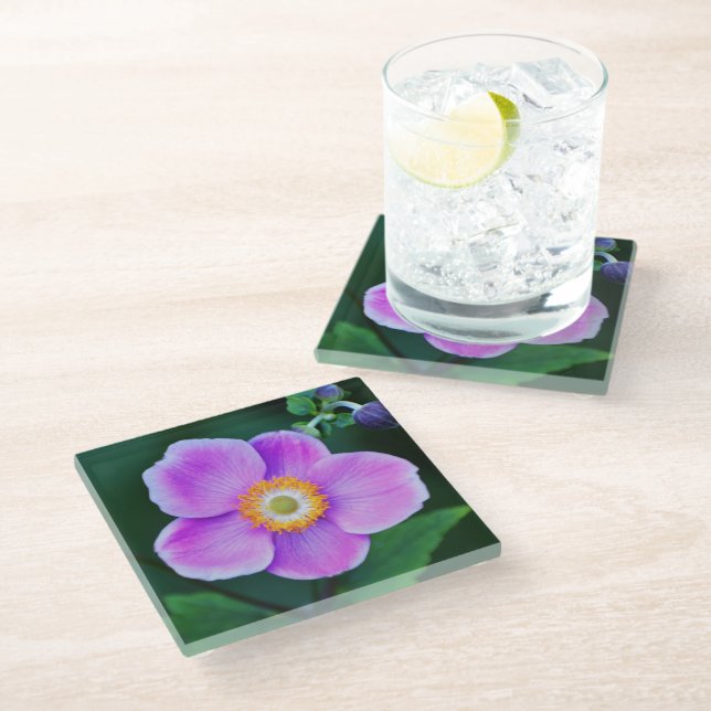 Pink Japanese Anemone Floral Glass Coaster (Angled)