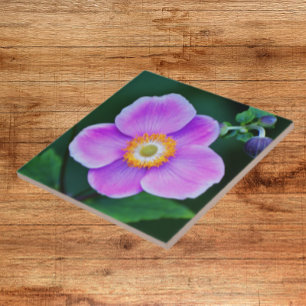 Pink Japanese Anemone Floral Tile