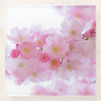 Pink Japanese Cherry Blossom Glass Coaster
