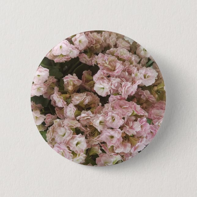 Pink Kalanchoe Plant 6 Cm Round Badge (Front)