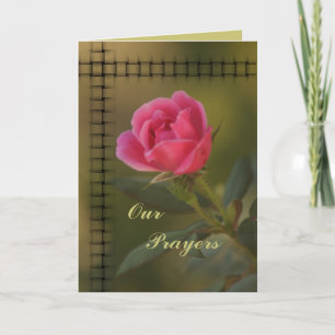 Pink Knockout Prayer card- customise Card