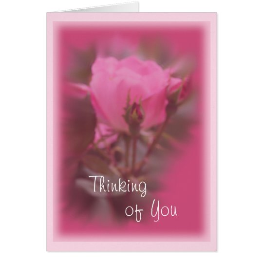 Pink Knockout Rose card- any occasion Card